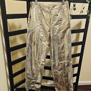Shiny Metallic Pants